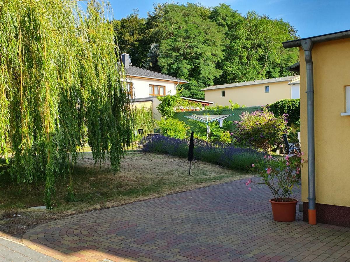 Ferienwohnung Ole Zinnowitz Kültér fotó