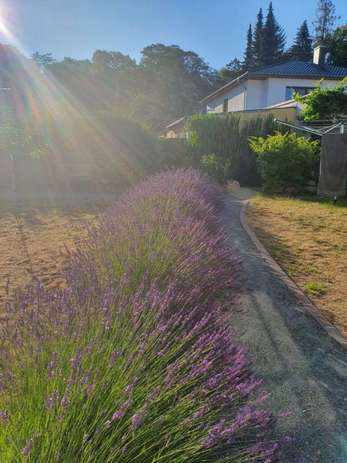 Ferienwohnung Ole Zinnowitz Kültér fotó